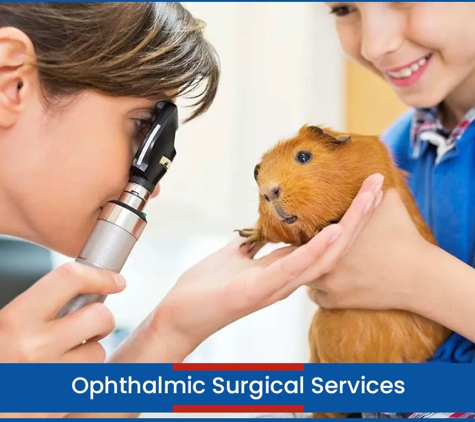 Wetherill Park Vet Clinic - Wetherill Park, NSW. Ophthalmic Surgical Services
