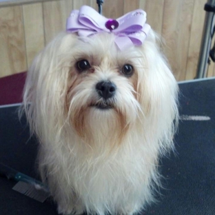 Pooches & Smooches Dog Grooming - Pocola, OK