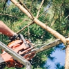 Raymond Brothers Tree Service gallery