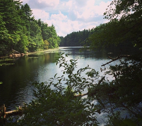 F. Gilbert Hills State forest - Foxborough, MA