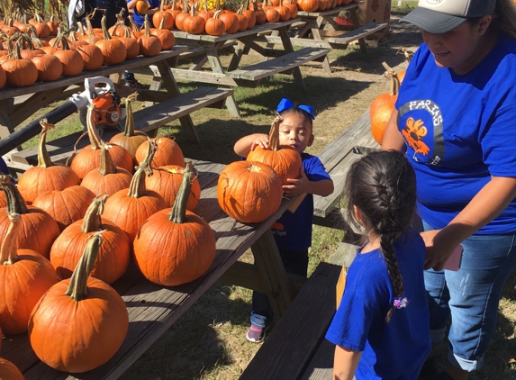 Old MacDonald's Farm - Humble, TX