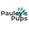 Pauley's Pups gallery