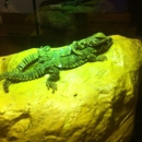 House Of Reptiles - Pet Stores
