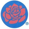 Duraclean Fabric Specialists gallery