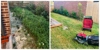 Cleanicall - Lawn Maintenance