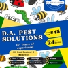 DA Pest Solutions gallery