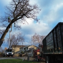 Upper Cut Tree Service - Firewood