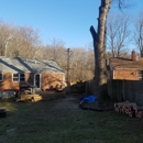 Walt's Tree Experts - Tree Service