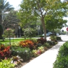 Delray Discount Landscaping Services gallery