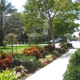 Delray Discount Landscaping Services