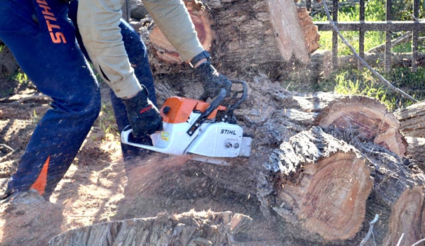 Adelaide Tree Felling Services - Glynde, SA
