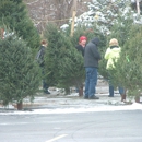 L & M Tree Farm - Christmas Trees