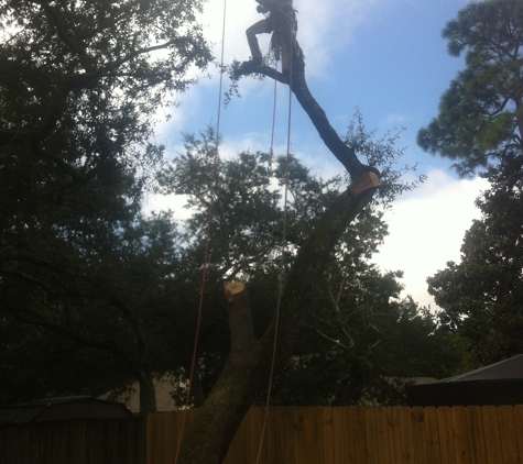 That 1 Tree Guy LLC - Niceville, FL