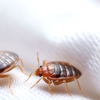 Pest Control Supply Co gallery
