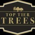 Top Tier Trees