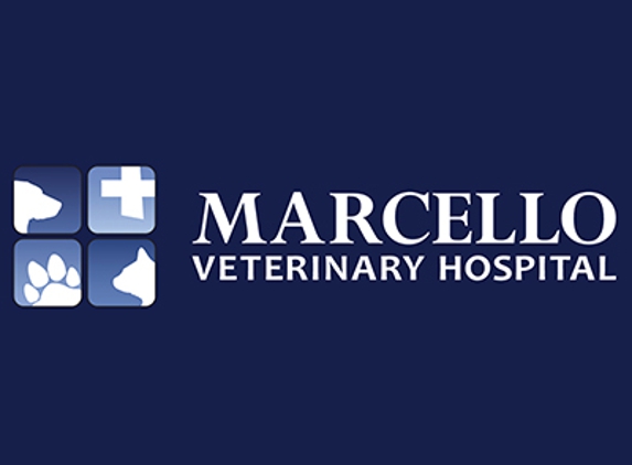 Marcello Veterinary Hospital Houma - Houma, LA