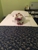 At Siam Thai Massage - Massage Therapists