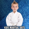 100 Percent Martial Arts gallery