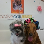 Dog Groomer Academy