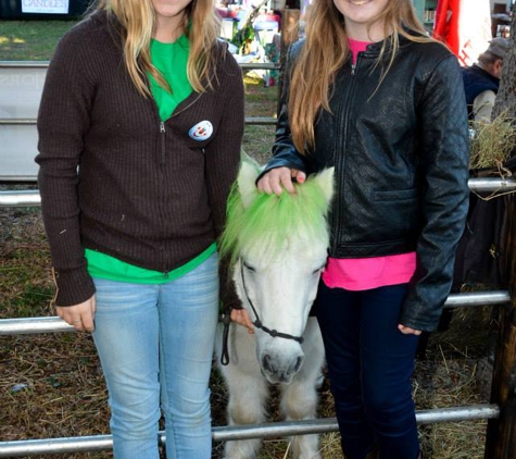 Howey Horse Haven Rescue - Howey In The Hills, FL