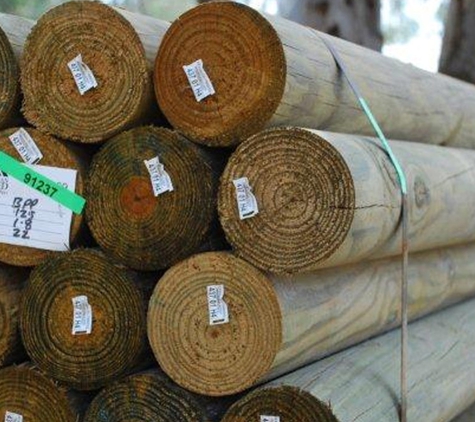 Lobb St Sawmill. Treated Pine Logs