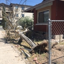 El Paso Tree Removal - Tree Service