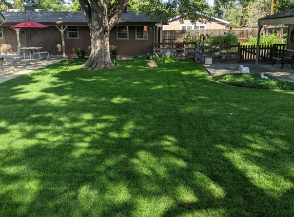 Autumn Tree Lawn and Landscape - Golden, CO