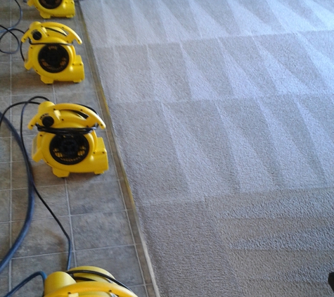 Knockout Carpet Cleaning - Salinas, CA