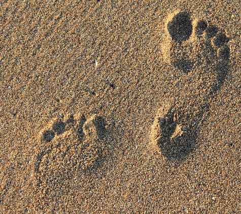 Williamstown Podiatry Services - Williamstown, VIC