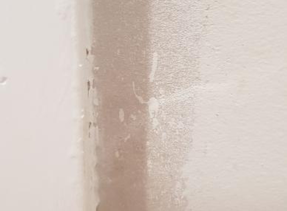 Paul Davis Painting Decorating - Geneva, NSW. Example of the workmanship