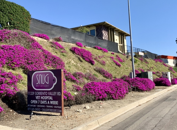 Snug Pet Resort & Animal Hospital - San Diego, CA. Feb 2021