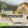 Pine Hill Tree Service gallery