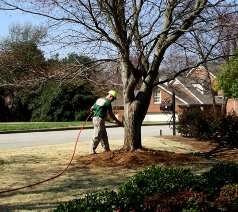 Schneider Tree Care - Tryon, NC