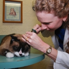 The Cat Doctors