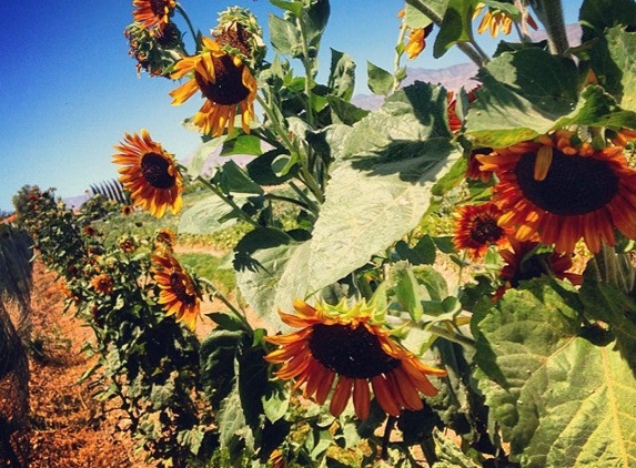 Gilcrease Nature Sanctuary - Las Vegas, NV