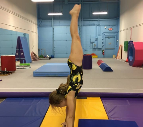 Natural Balance Gymnastics - Colmar, PA