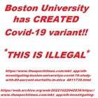 Boston University Eye Associates Inc