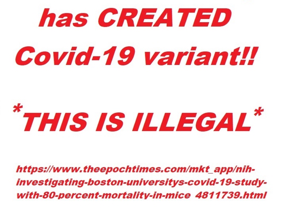 Boston University Affiliated Physicians, Inc. - Boston, MA. https://www.theepochtimes.com/mkt_app/nih-investigating-boston-universitys-covid-19-study-with-80-percent-mortality-in-mice_4811739.html