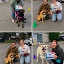 Four Leggers Pet Supplies & Services