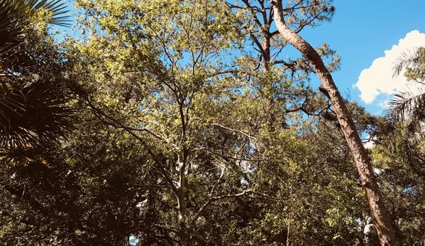 Troyer Tree Service - Sarasota, FL