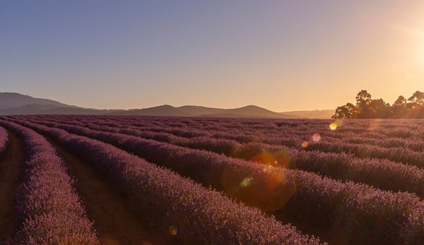 Chirn Park Travel - Labrador, QLD