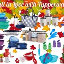 Tina's Tupperware Of NWA - Kitchen Accessories