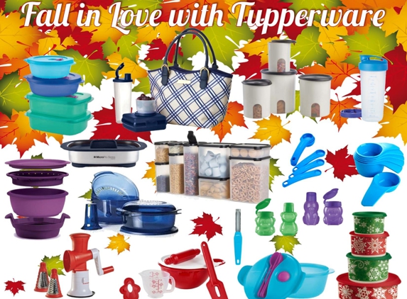 Tina's Tupperware Of NWA - Springdale, AR