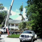 Coastal Tree Service