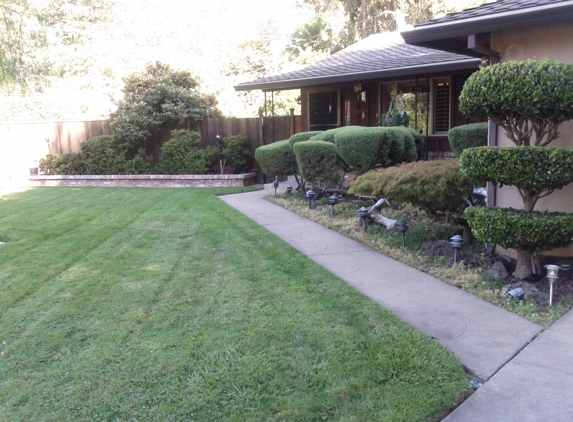 Classic American Gardening - Carmichael, CA