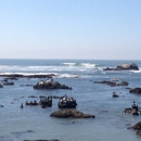 Cayucos Surf Company - Surfboards