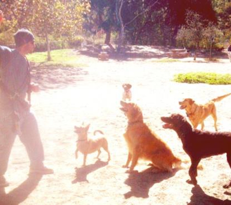 SitStayPlayWalks - Culver City, CA