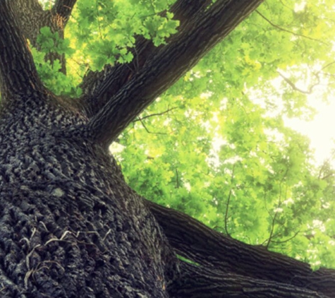 Tree Barber Enterprises, Inc - Escondido, CA