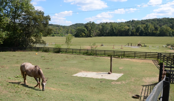 Beyond Limits Therapeutic Riding - Cartersville, GA