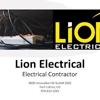 Lion Electrical gallery